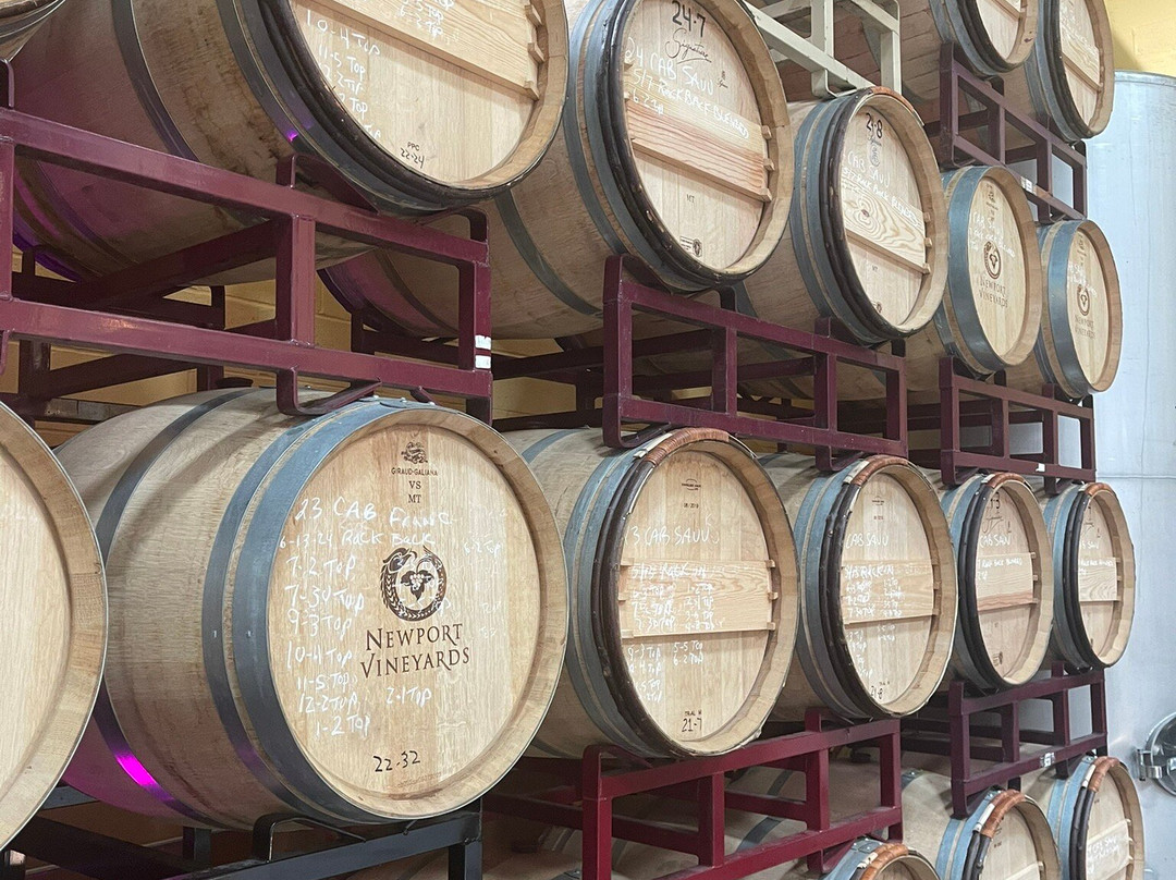 Newport Vineyards-米德尔敦必去景点
