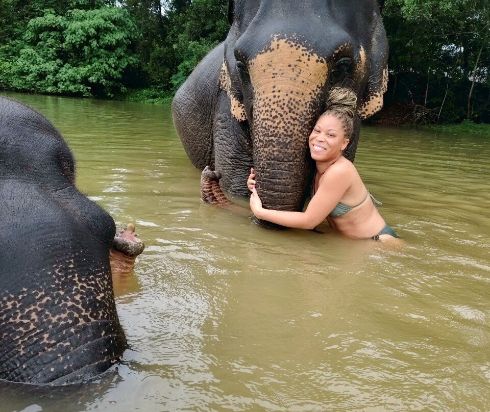 The Lake Phuket Elephant Home景点图片