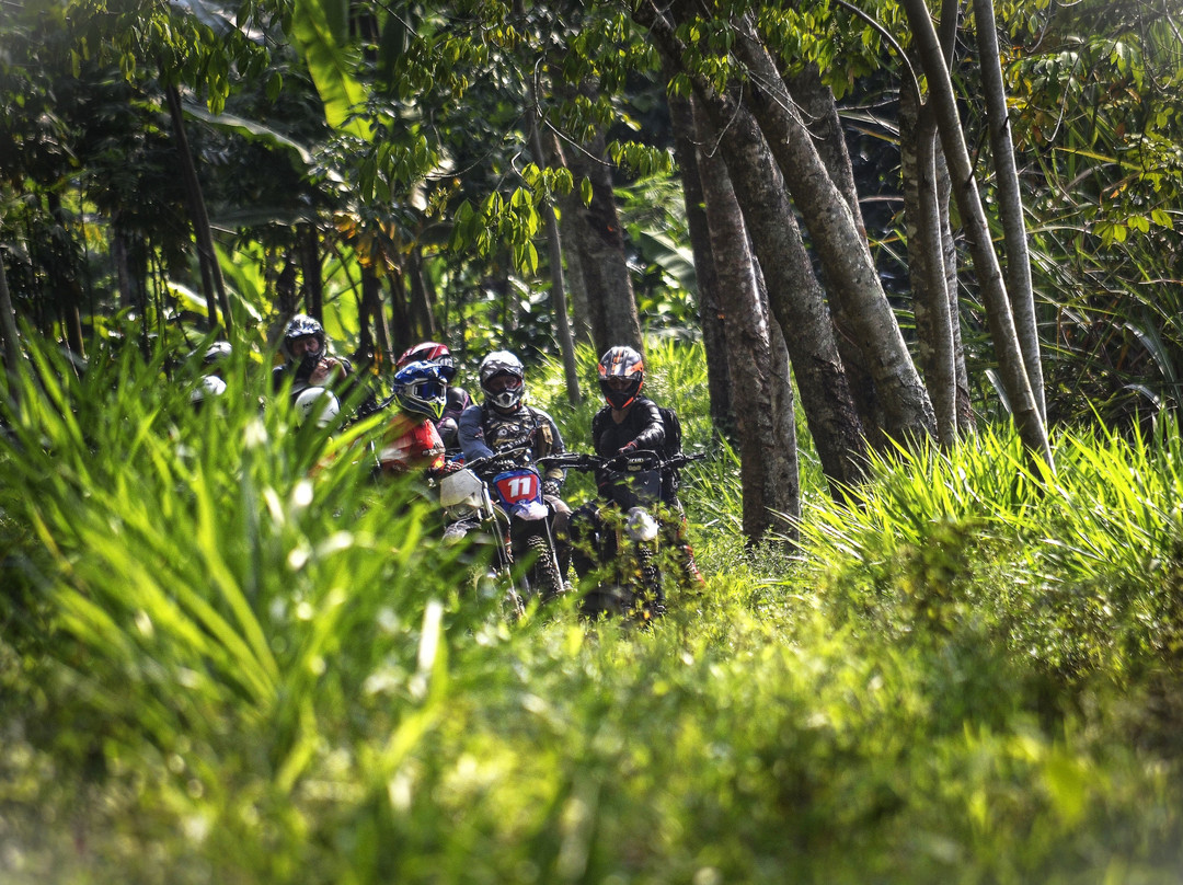 Bali Wilderness Dirt Bike - Day Tours景点图片