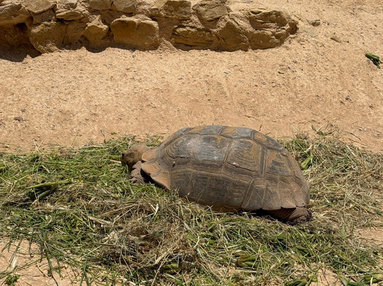 Agadir My Way Tours-阿加迪尔必去景点