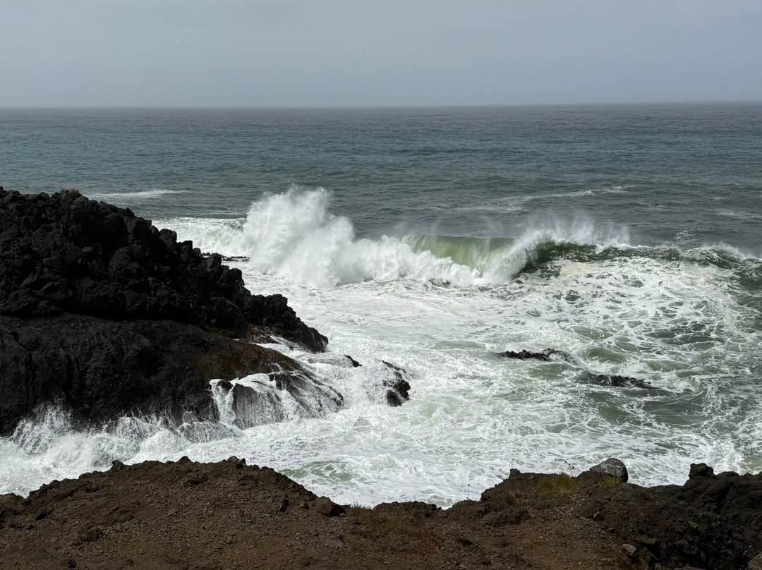 Rocky Creek State Scenic Viewpoint-Depoe Bay必去景点