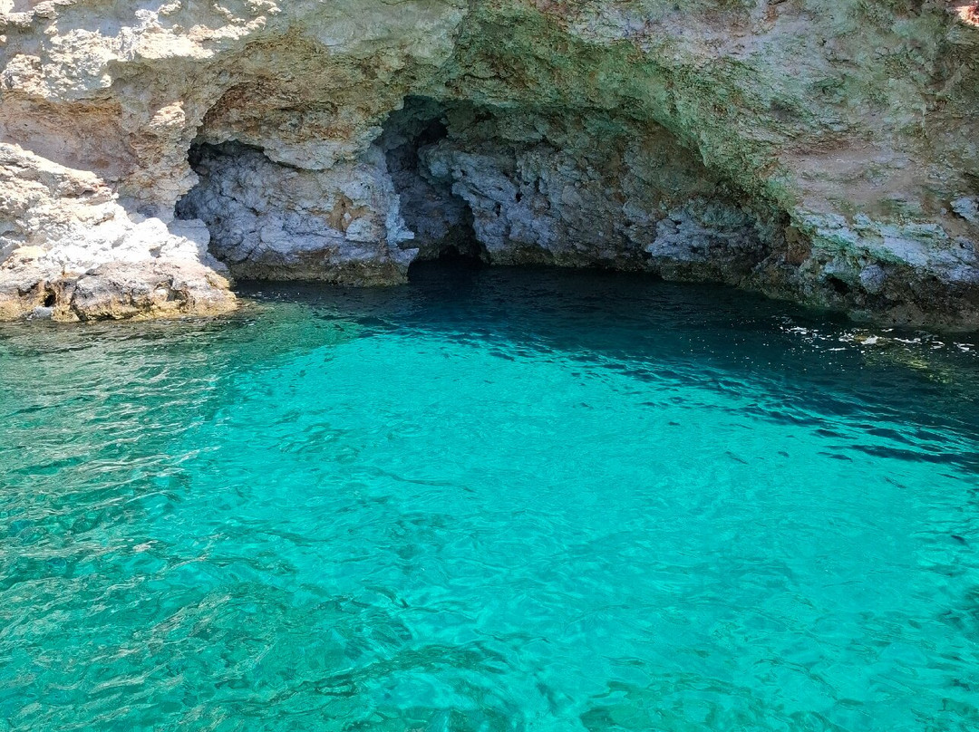 Milos Fishing Experience-Pollonia必去景点
