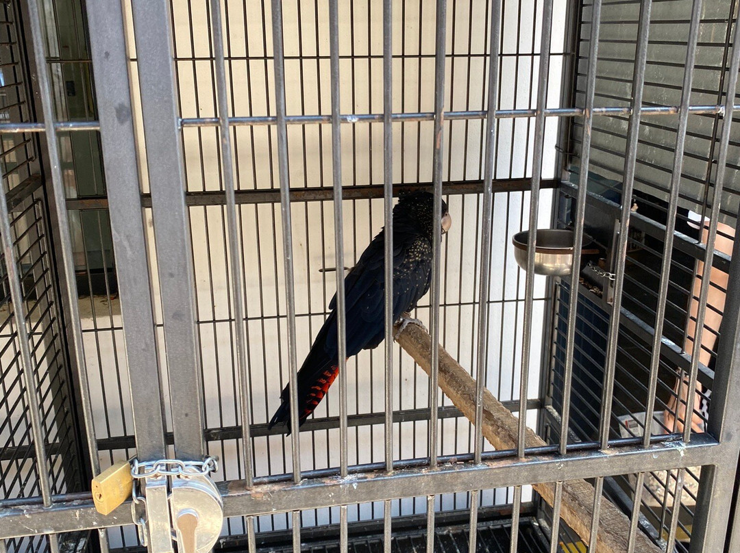 Ilha das Aves-Campanario必去景点