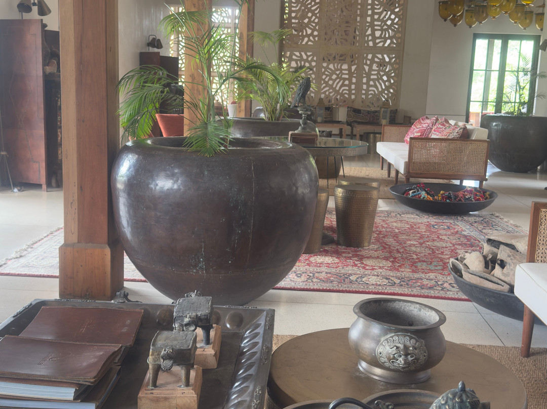 Aramness Gir National Park主图