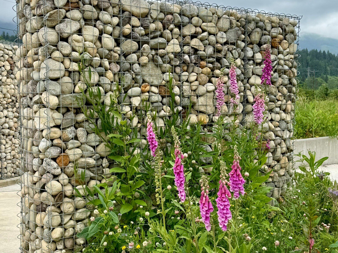 Oso Slide Memorial-阿灵顿必去景点
