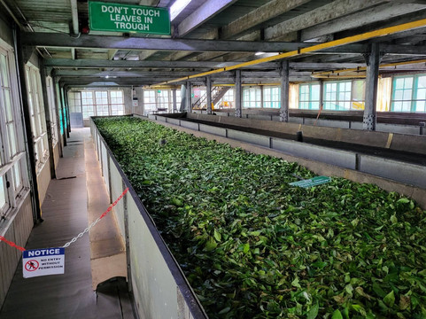 Fairceylon Holiday (pvt)ltd.-科伦坡必去景点