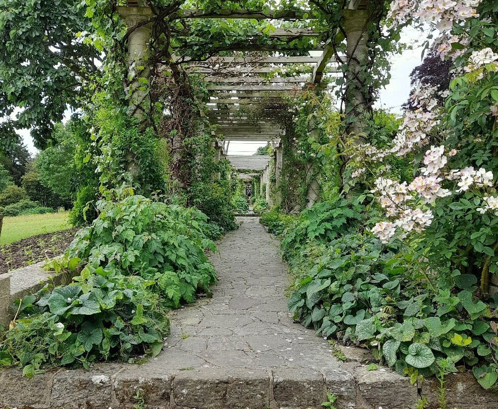 West Dean Gardens景点图片