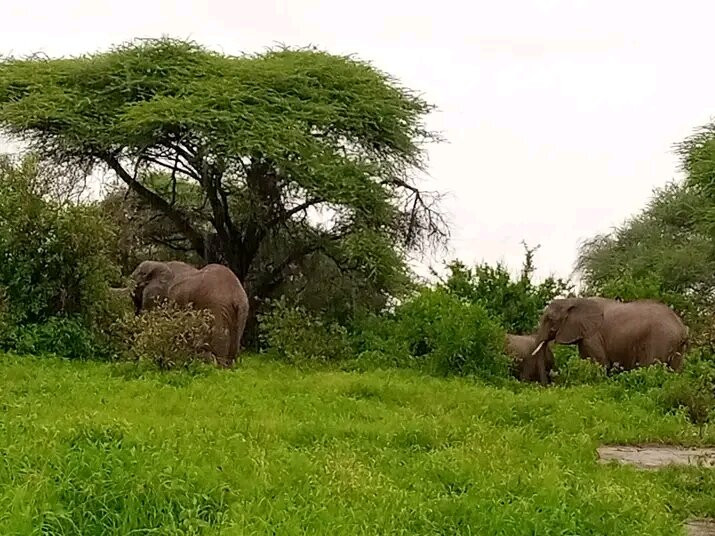 Jose Safaris & Adventures-南由基必去景点