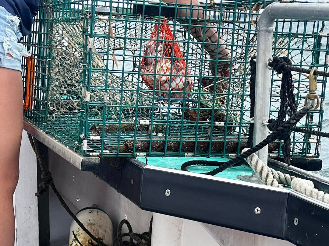 Lucky Catch Cruises-波特兰必去景点