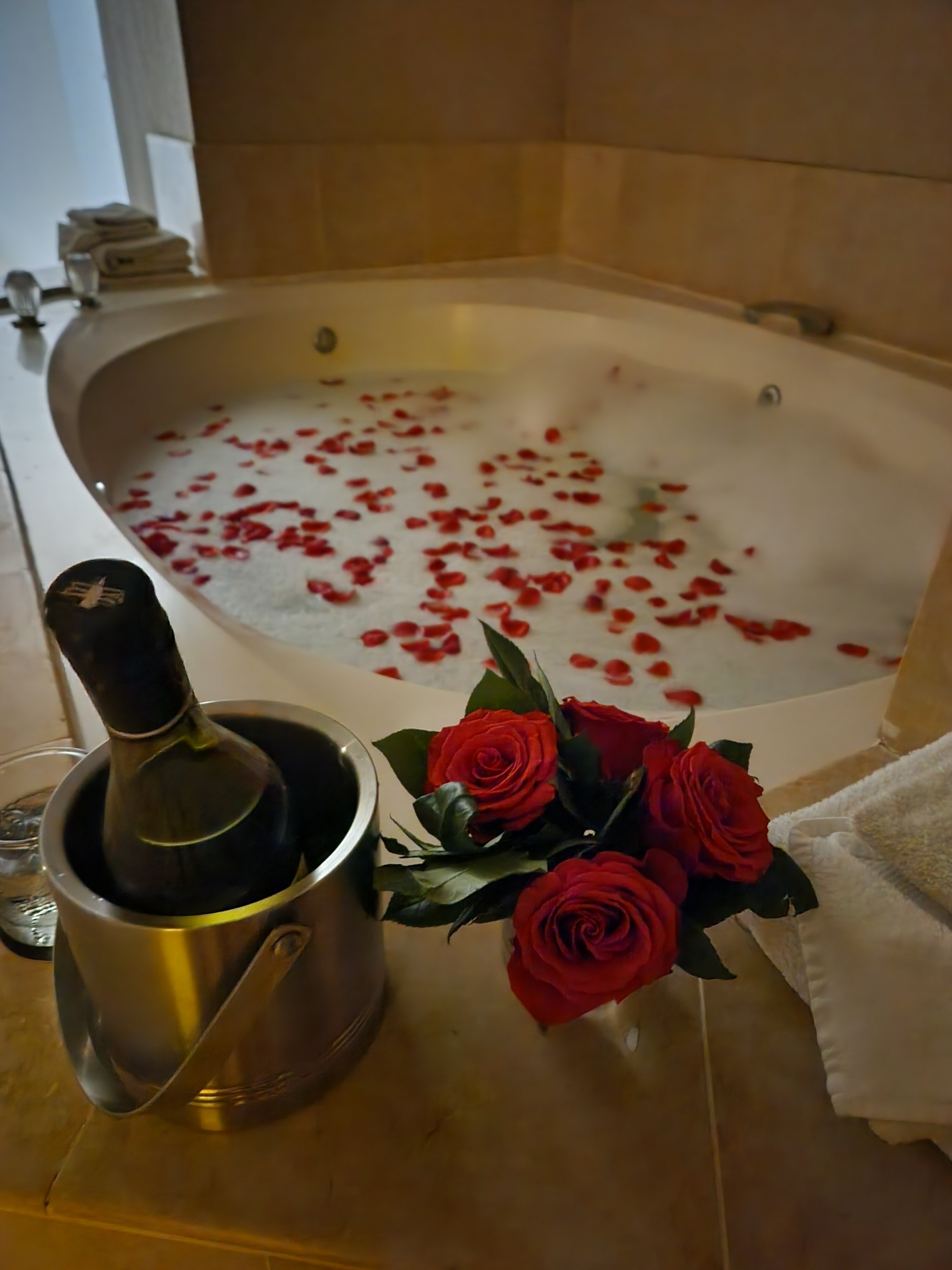 DoubleTree by Hilton Hotel Sonoma Wine Country-客卧