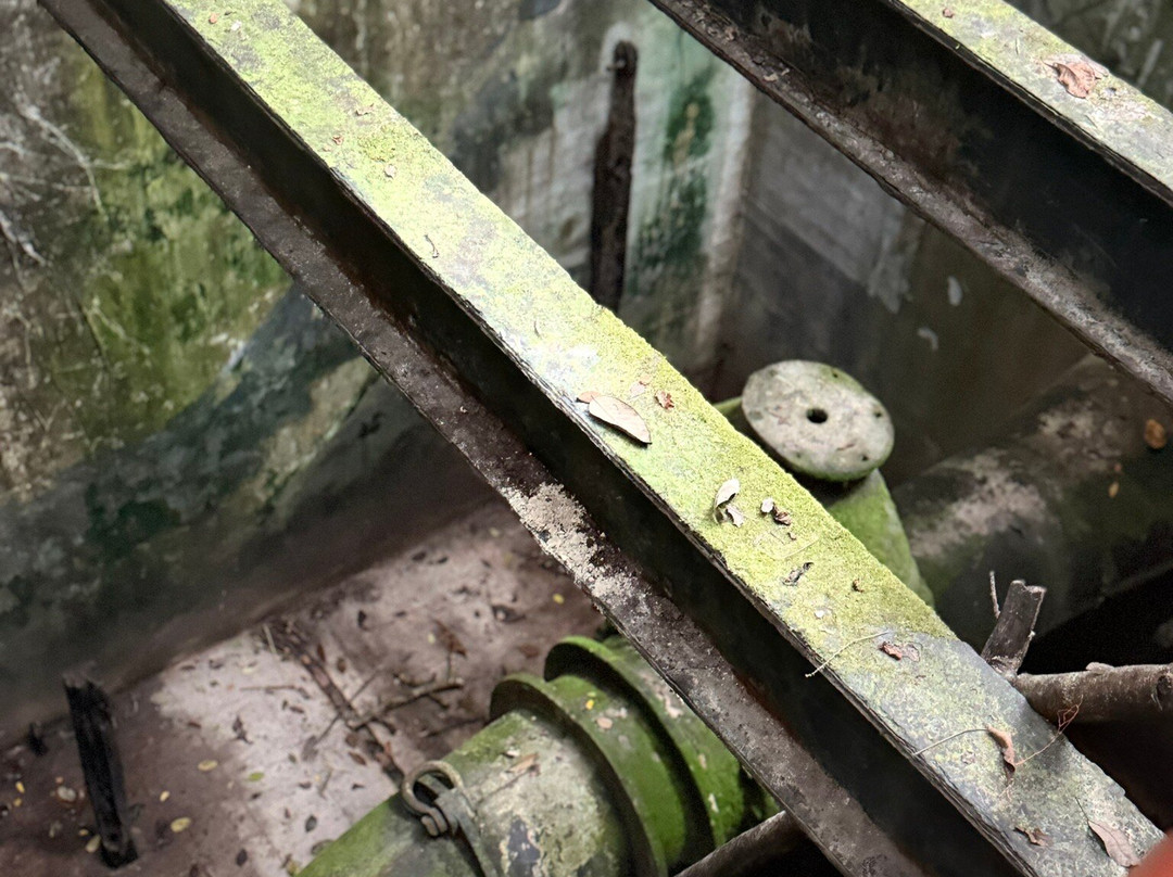 Yaaman Adventure Park-奥乔里奥斯必去景点