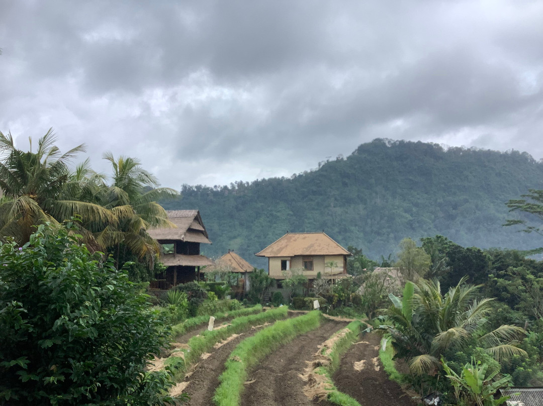 阿拉莫德哈里Spa度假旅馆