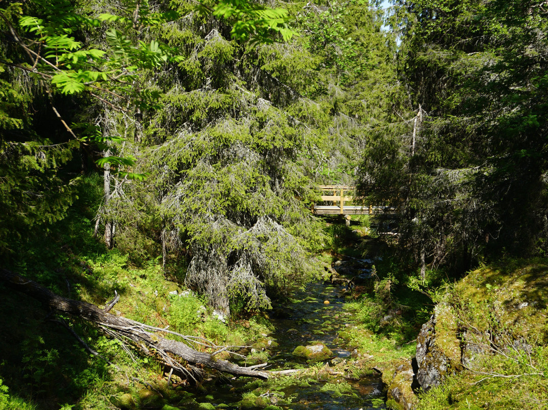 Varkaankurunpolku Thematic Trail-Akaslompolo必去景点