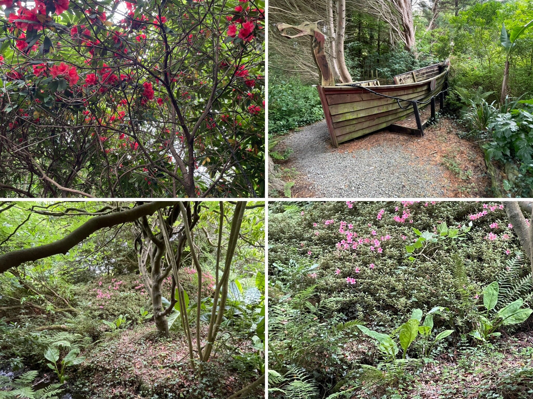 Kilmokea Country Manor & Gardens主图
