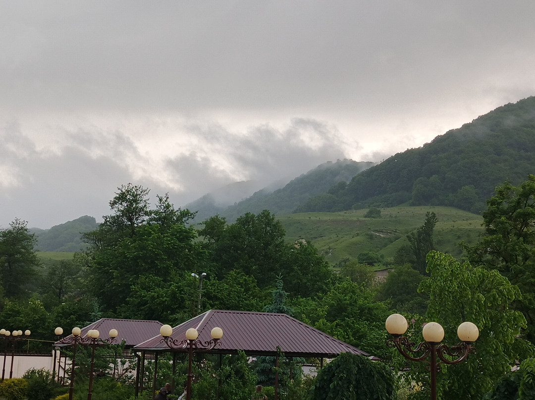 Sanatorium Tselebnyye Vody