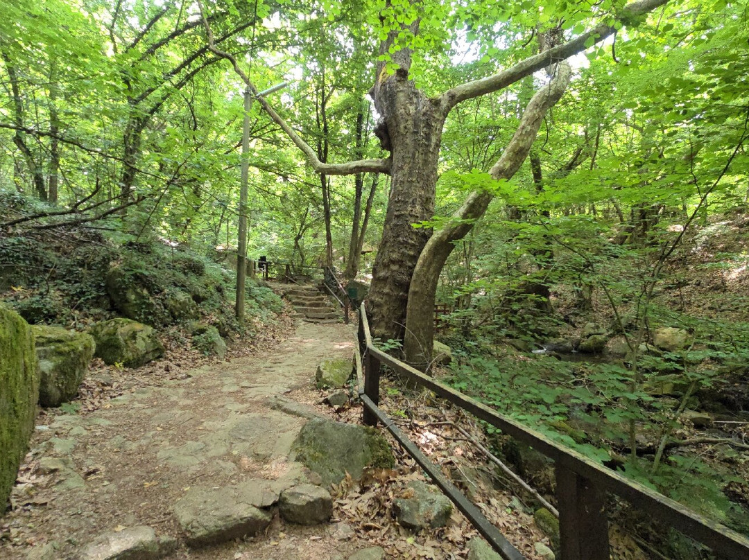 Kolesino Falls-Strumica必去景点