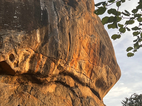 Ceylon Nature Hub-Ja Ela必去景点