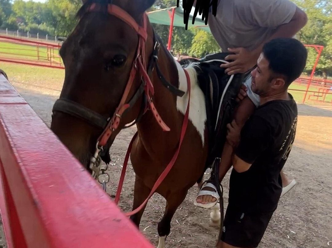 Pinar Horse Safari-马尔马里斯必去景点