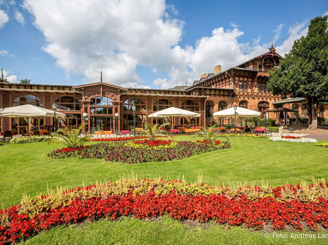 马格德堡酒店住宿-Dorint Herrenkrug Parkhotel Magdeburg
