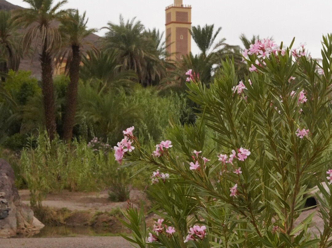 Trans Marrakech-马拉喀什必去景点