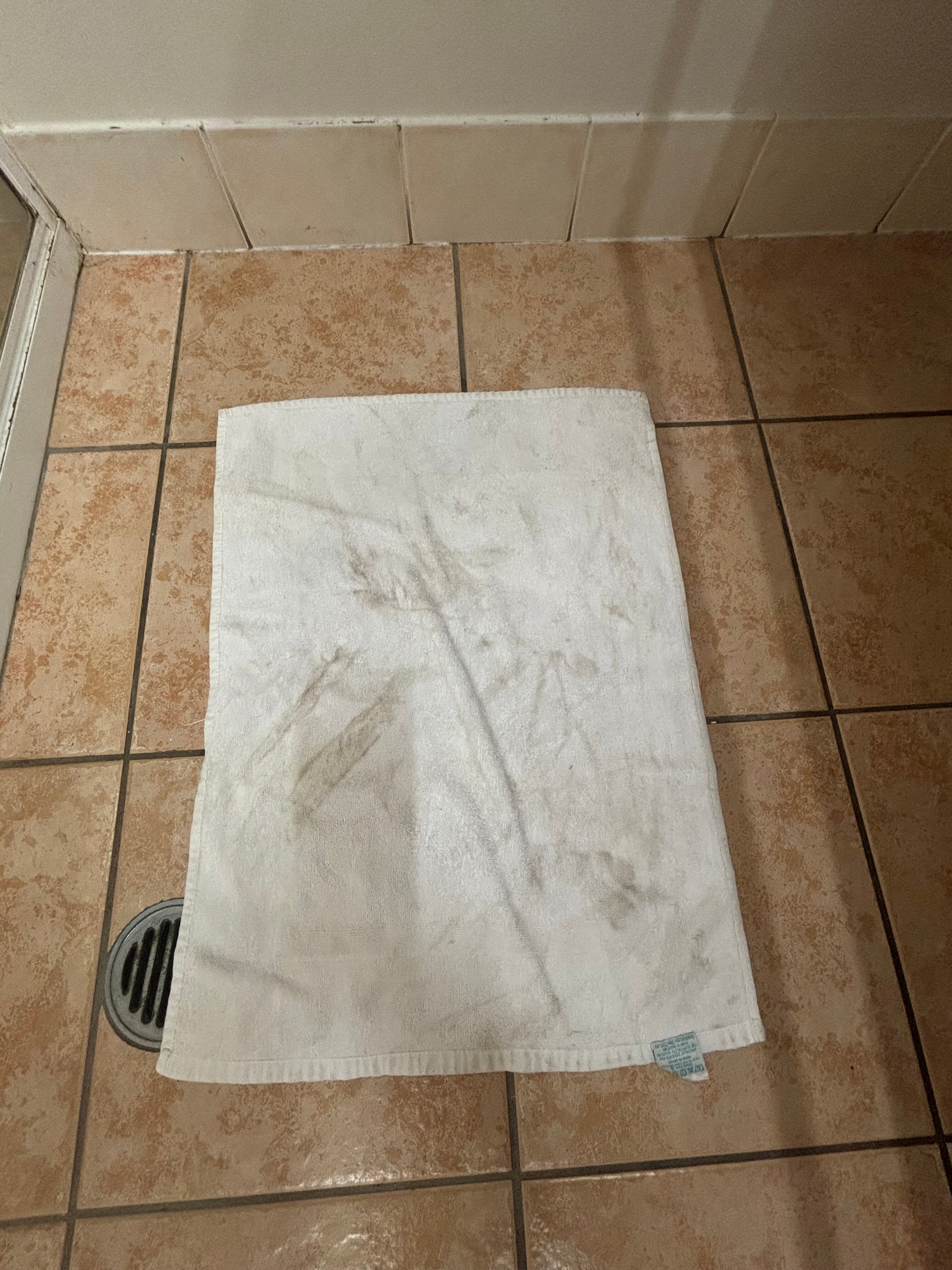 True Blue Motor Inn-浴室