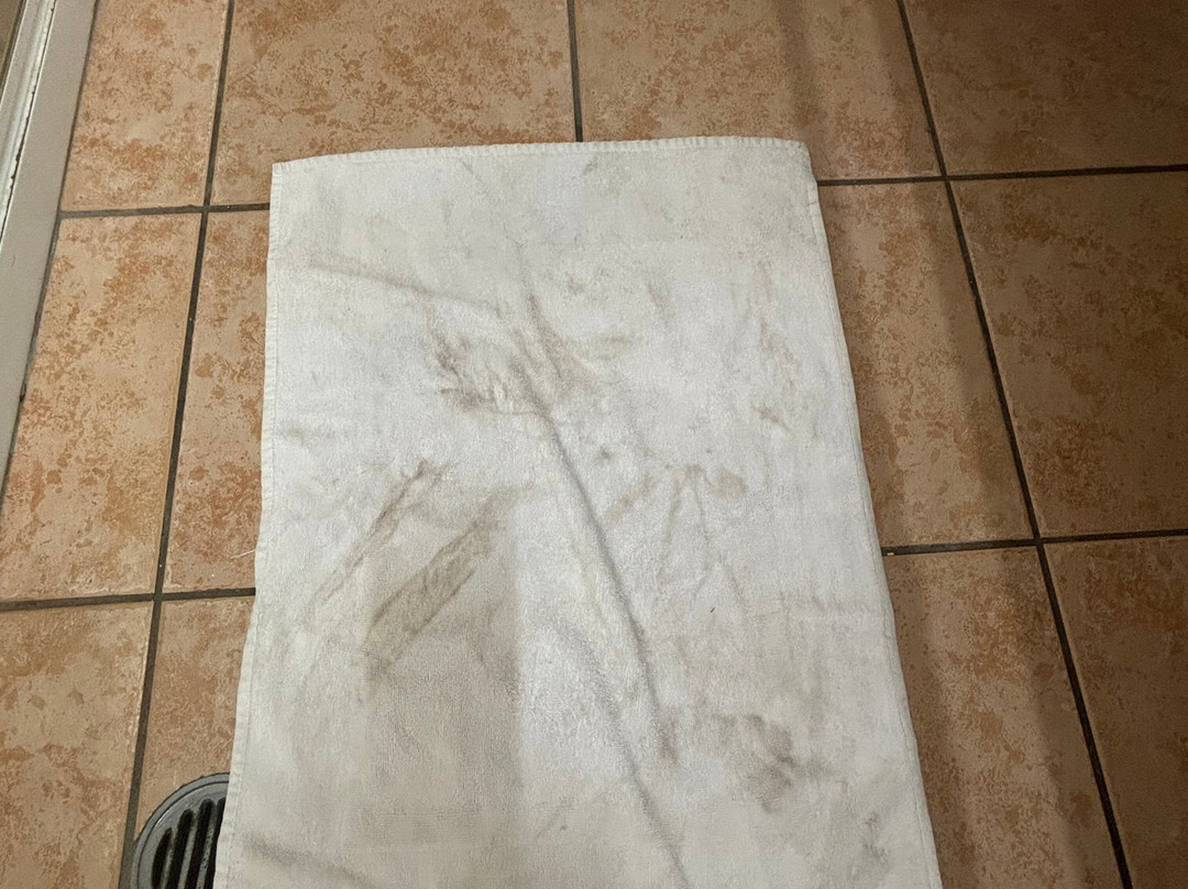 True Blue Motor Inn主图