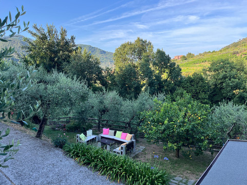 Amandolevanto B&B主图