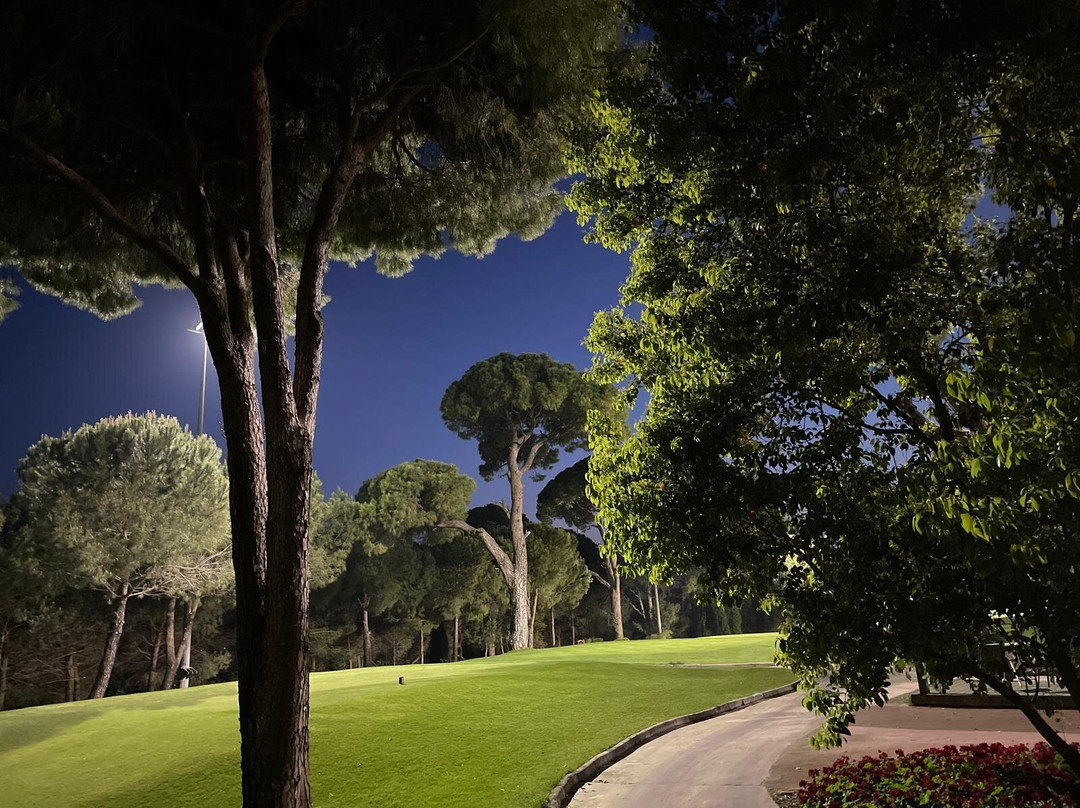 The Montgomerie Maxx Royal Golf Club-贝莱克必去景点