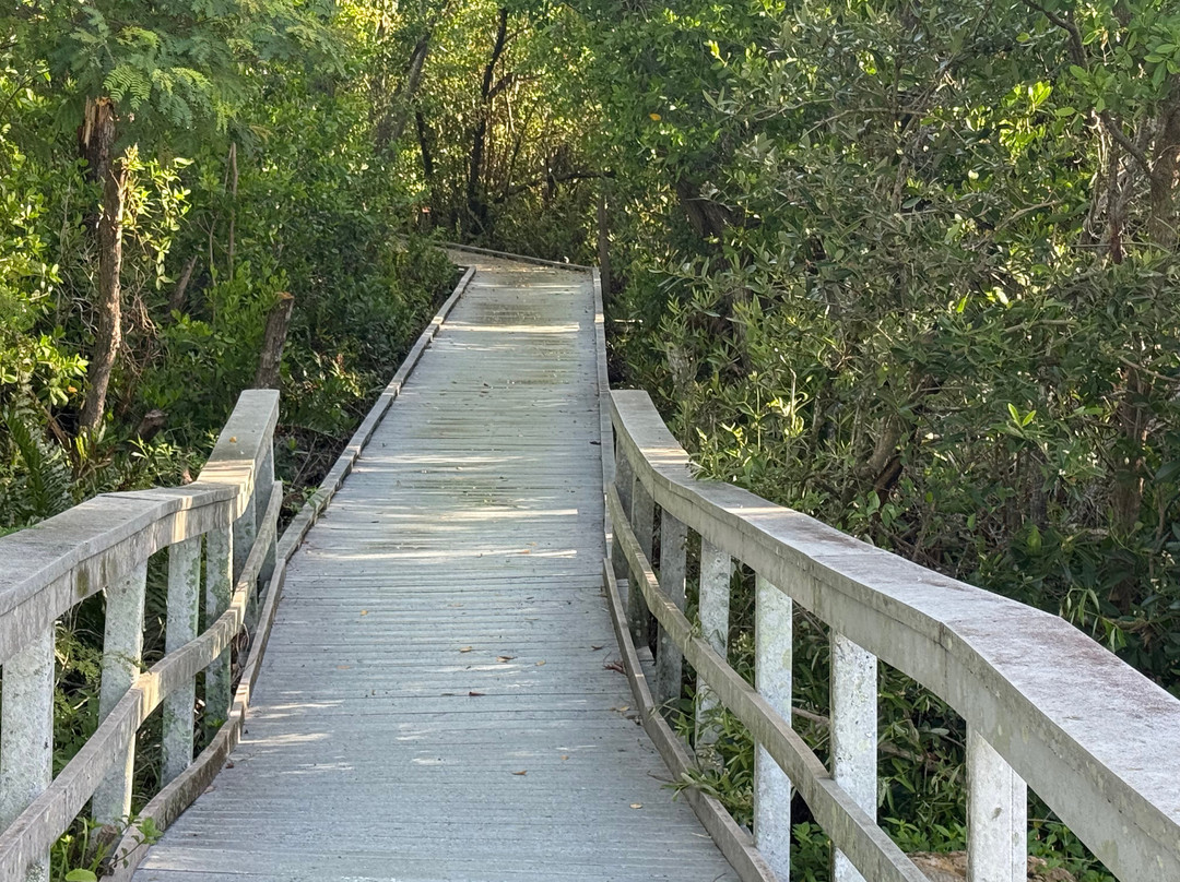 Four Mile Cove Ecological Preserve-开普科勒尔必去景点