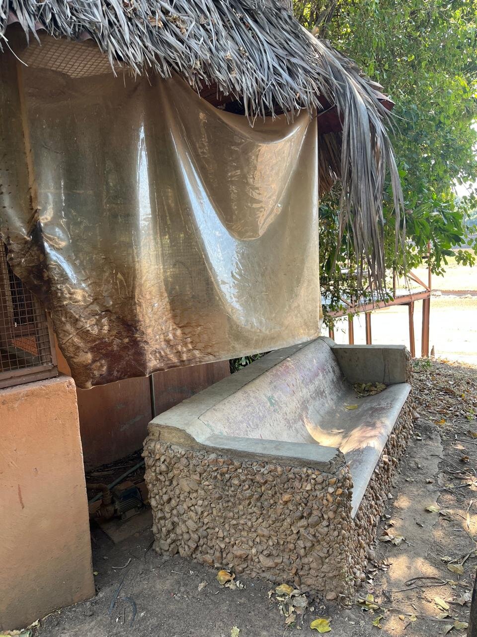 Croc Valley Camp-官方
