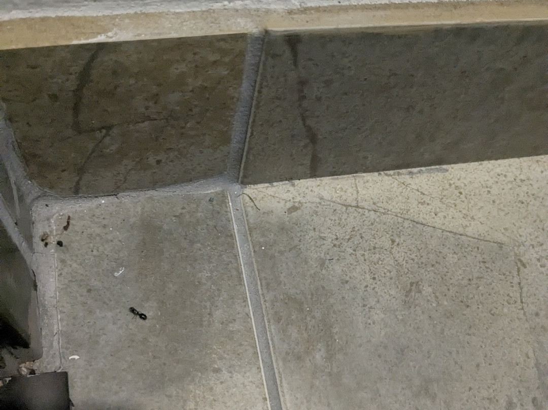 坎顿名人堂华美达酒店主图