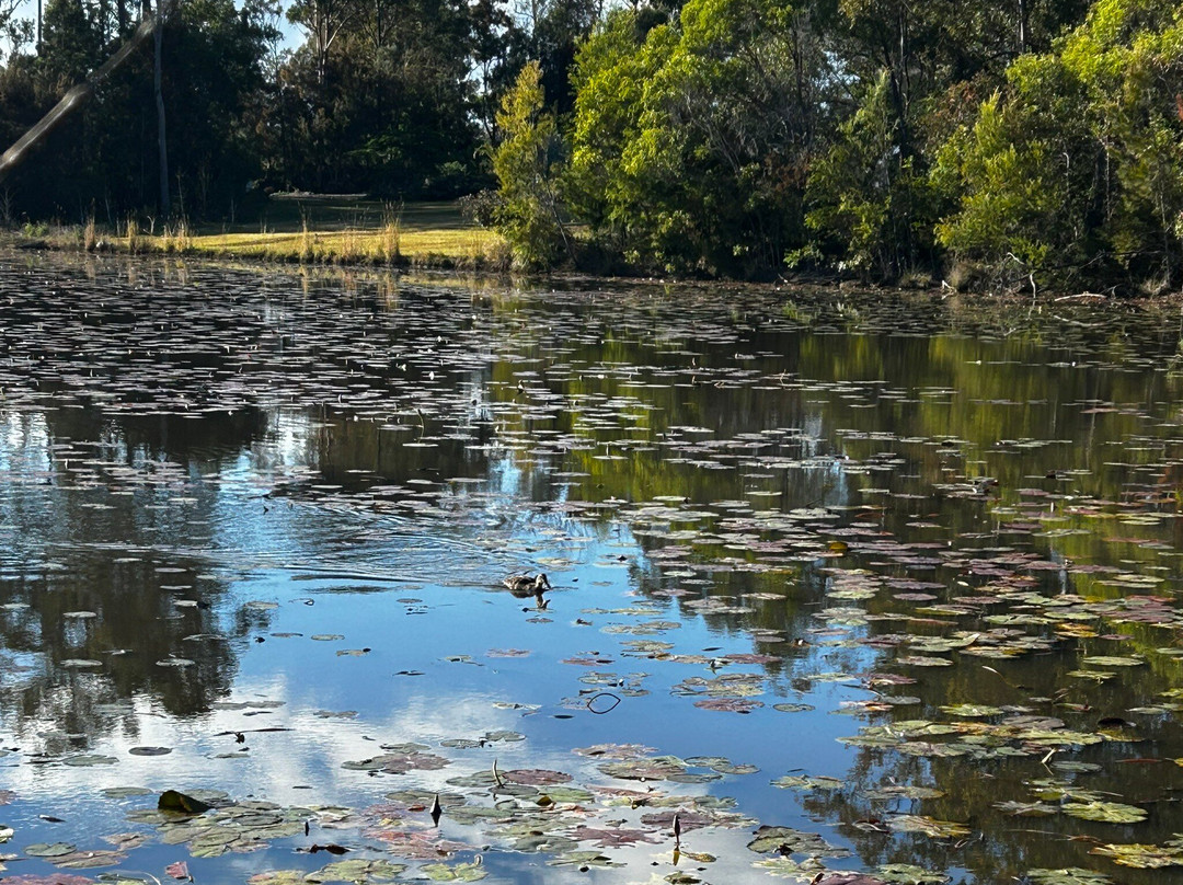 Abundance Lifestyle & Garden-Sancrox必去景点