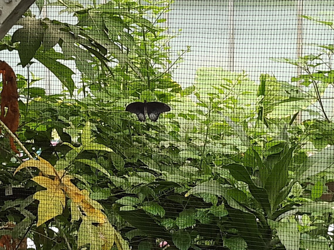 Manor Heath and Jungle Experience-哈里法克斯必去景点