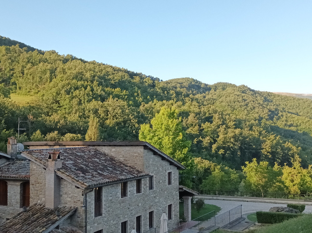 Agriturismo Le Case - Residenza Di Campagna主图