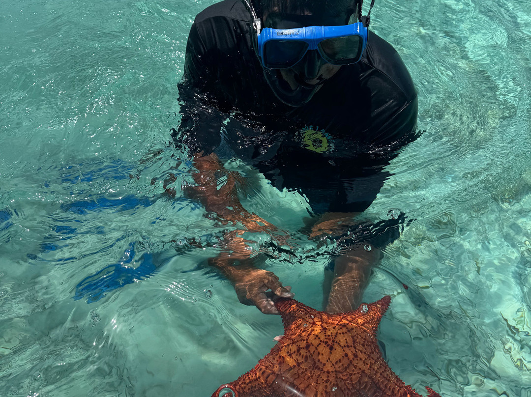 Yan Turnquest Fishing and Eco Tour Charter-Deadman's Cay必去景点