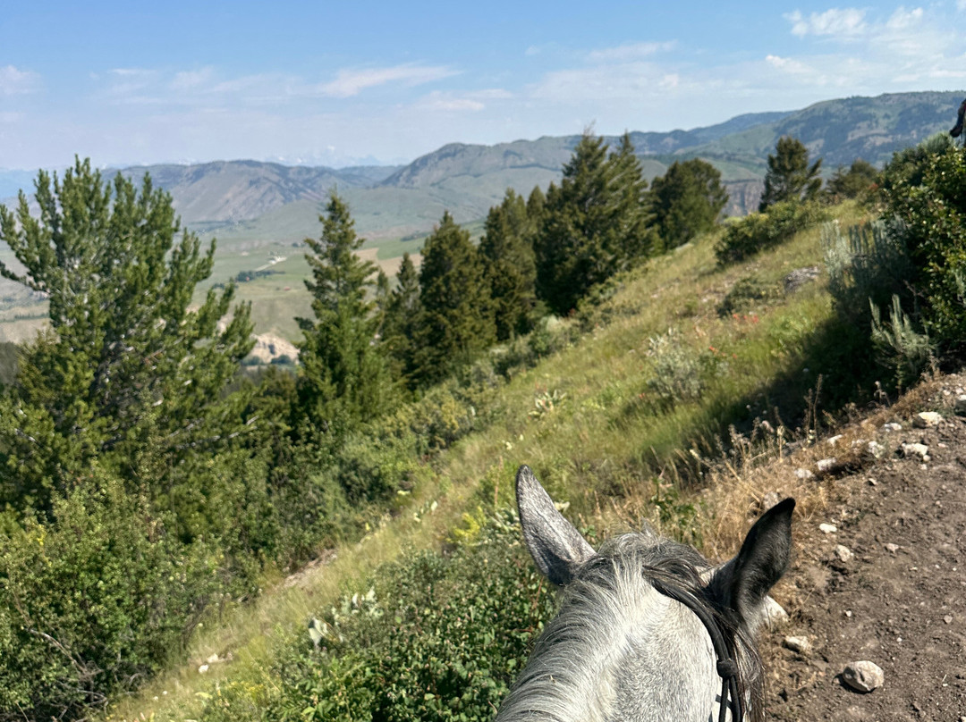 Mill Iron Ranch-杰克逊必去景点
