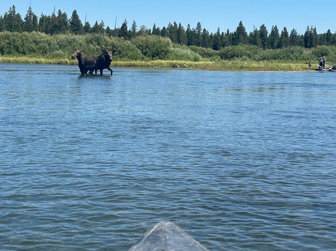 Mack`s Inn Float Trip and Rentals-艾兰帕克必去景点