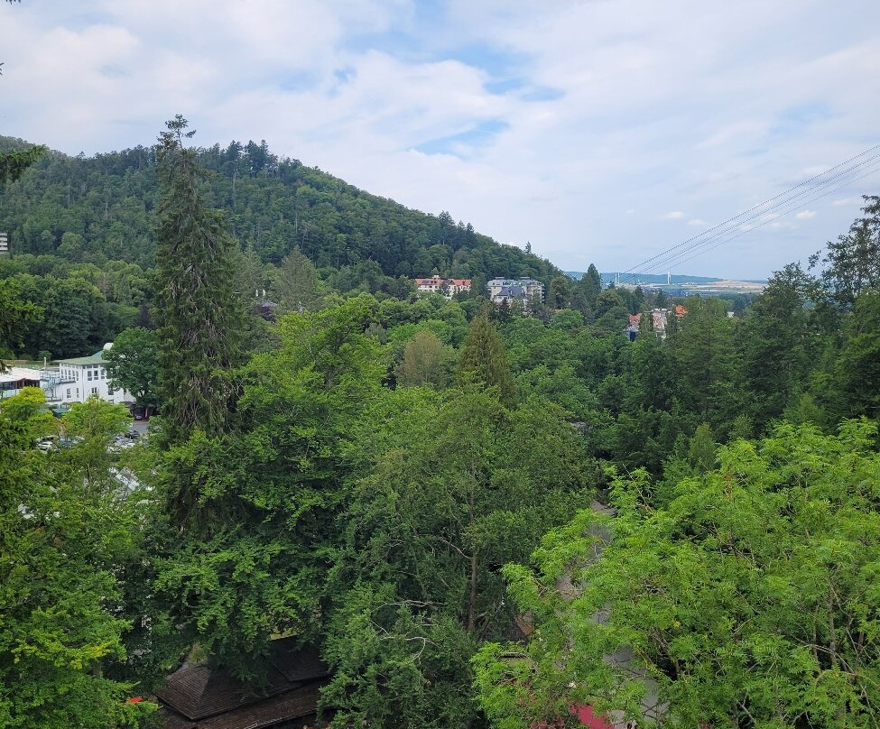 Baumwipfelpfad Bad Harzburg-巴特哈尔茨堡必去景点