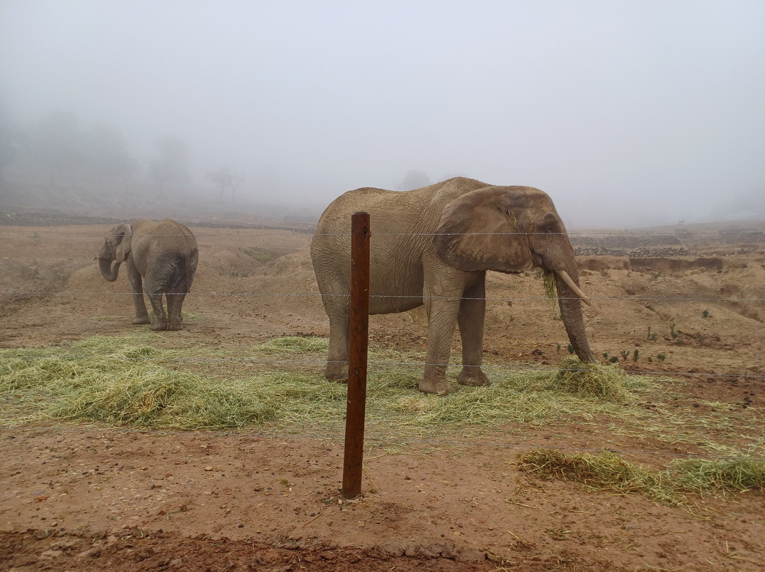 Safari Aitana-Penaguila必去景点