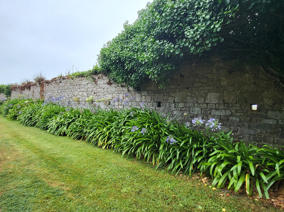 Tatihou Island-Saint-Vaast-la-Hougue必去景点