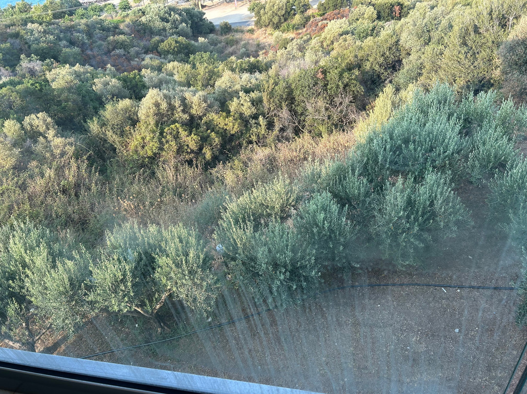 Akrathos Beach Hotel主图