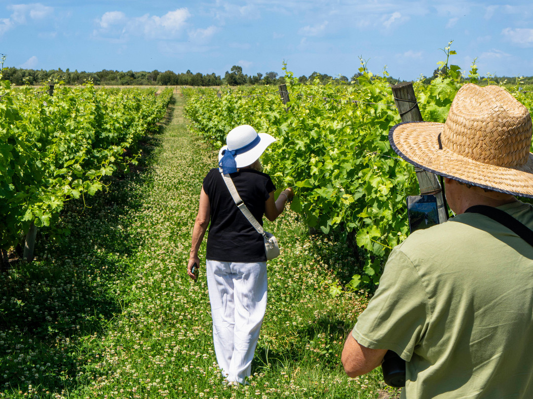 Bodega Garaje Casa Grande-Canelones必去景点