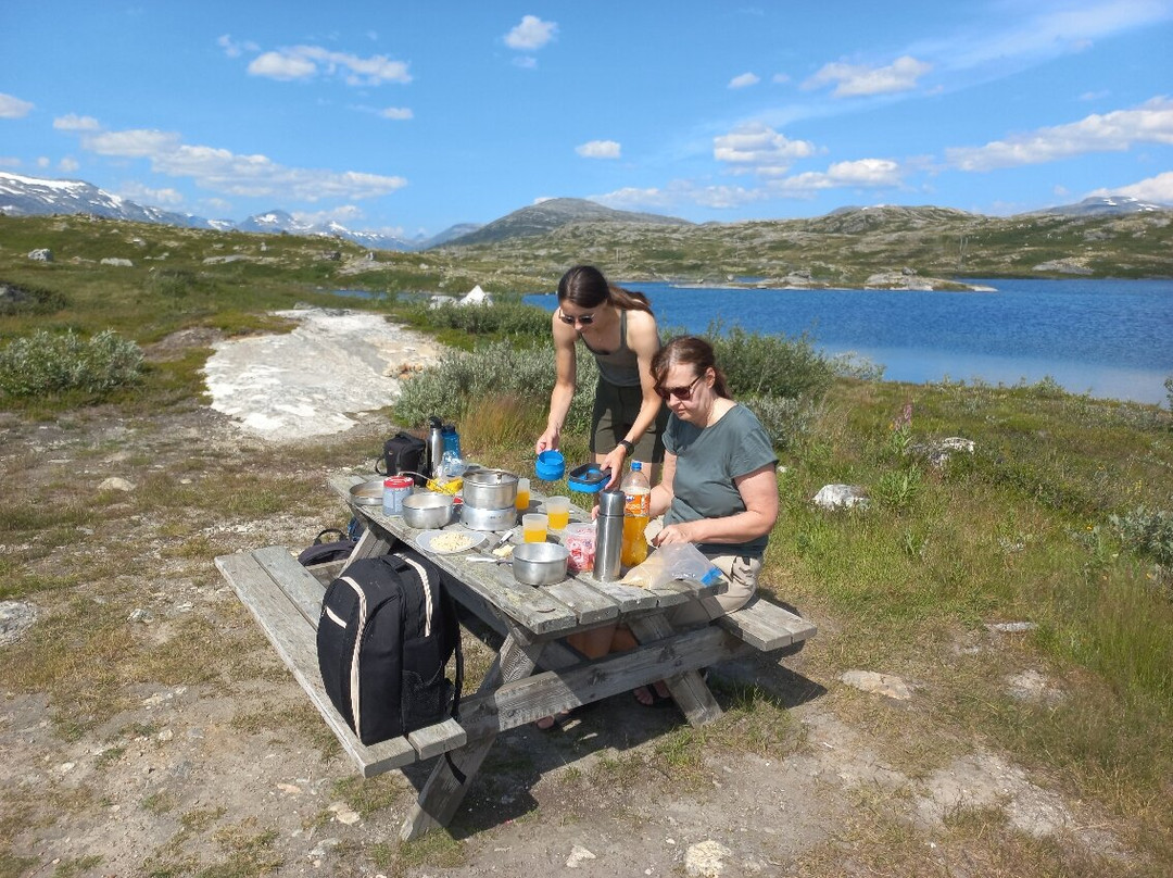 Aursjovegen Road-Møre og Romsdal必去景点