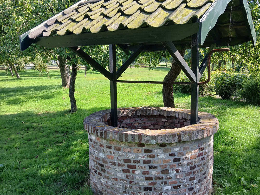 Shepherd's House主图