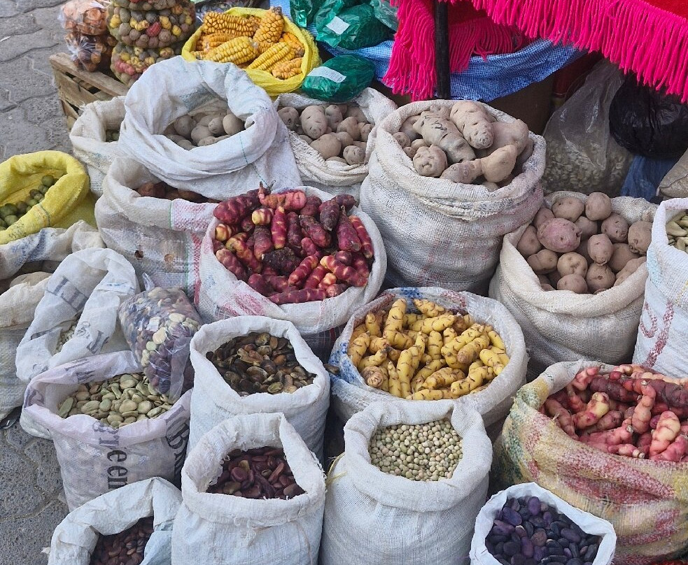 Hotel Punta Corral主图