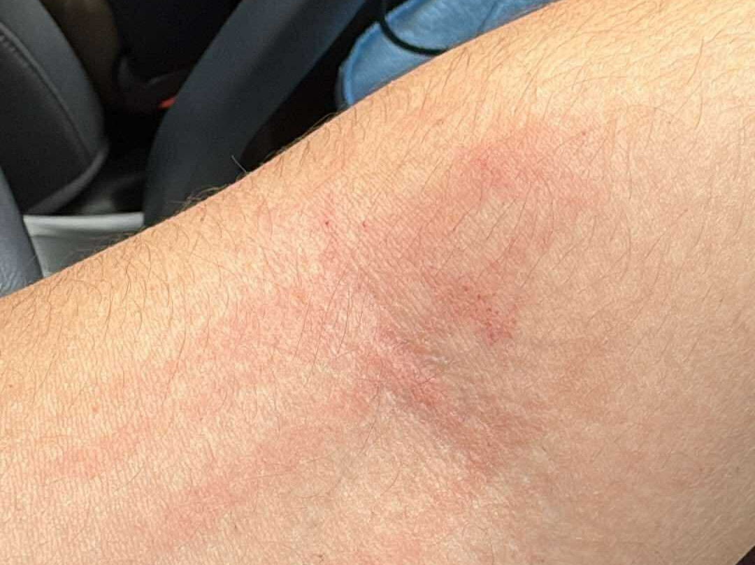 十二乐酒店主图