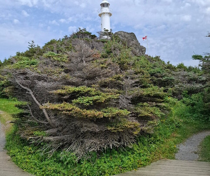 Wildland Tours-圣约翰必去景点