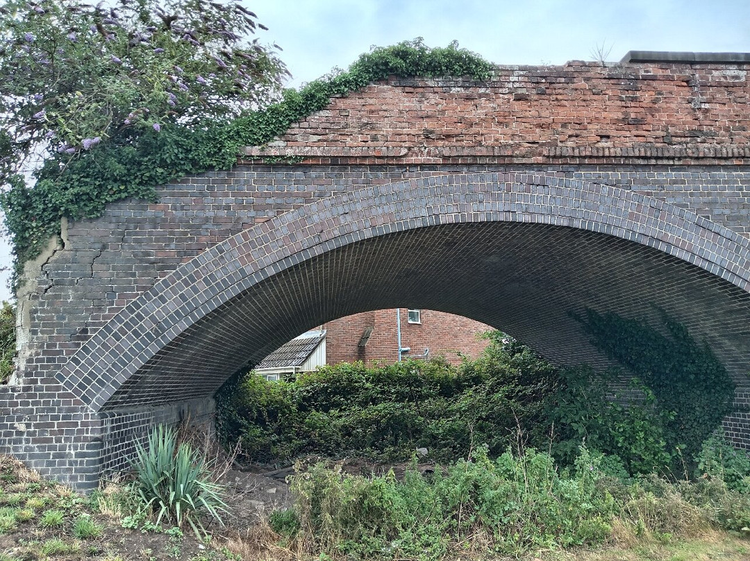 Rings End Viaduct Bridge-Wisbech必去景点