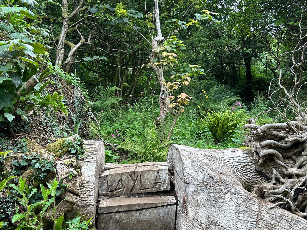 Kingscross Viking Fort-Whiting Bay必去景点