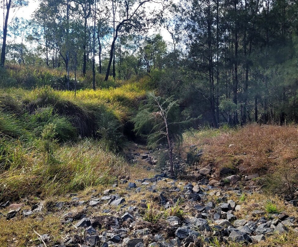 Central Queensland Nature Tours-罗尔斯顿必去景点